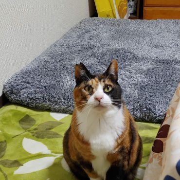 信じてくれてありがとう
