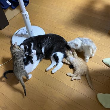 生まれは違うけどみんな仲良し