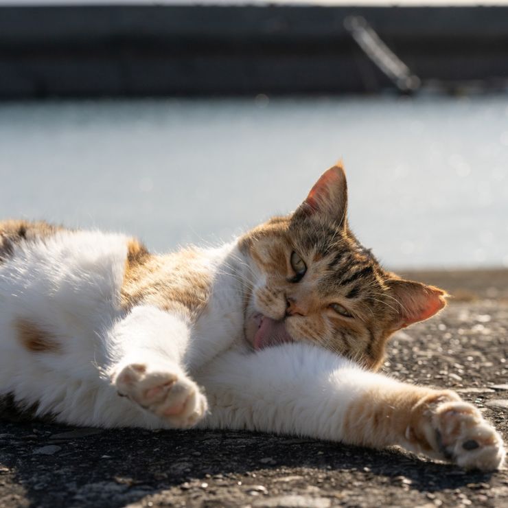べー