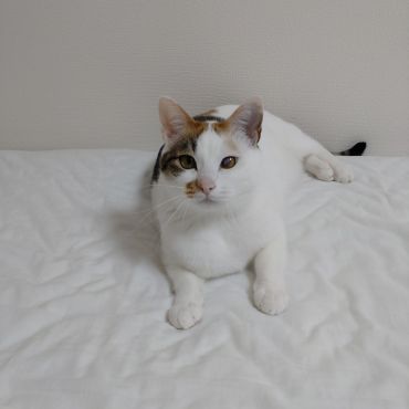 おすまし顔にて