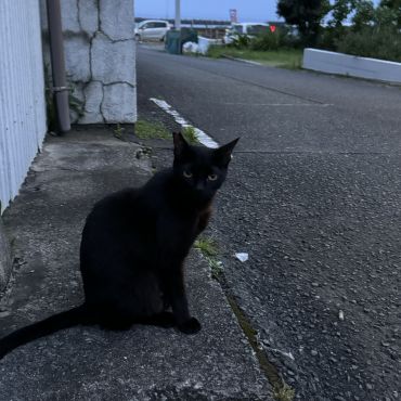 日没後