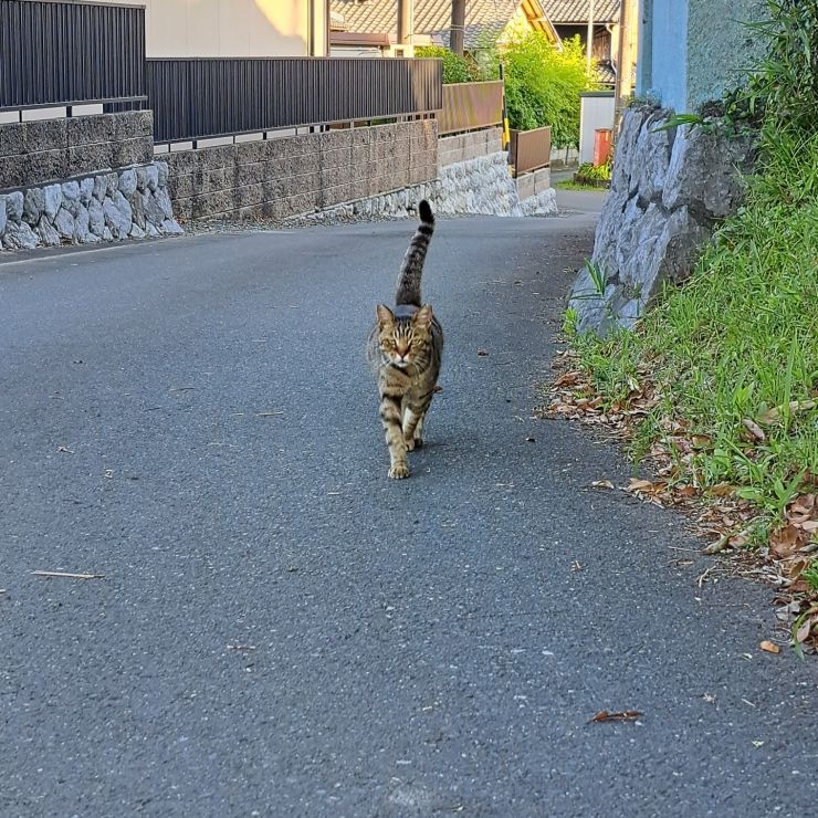 迎えにきたよ