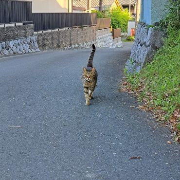 迎えにきたよ