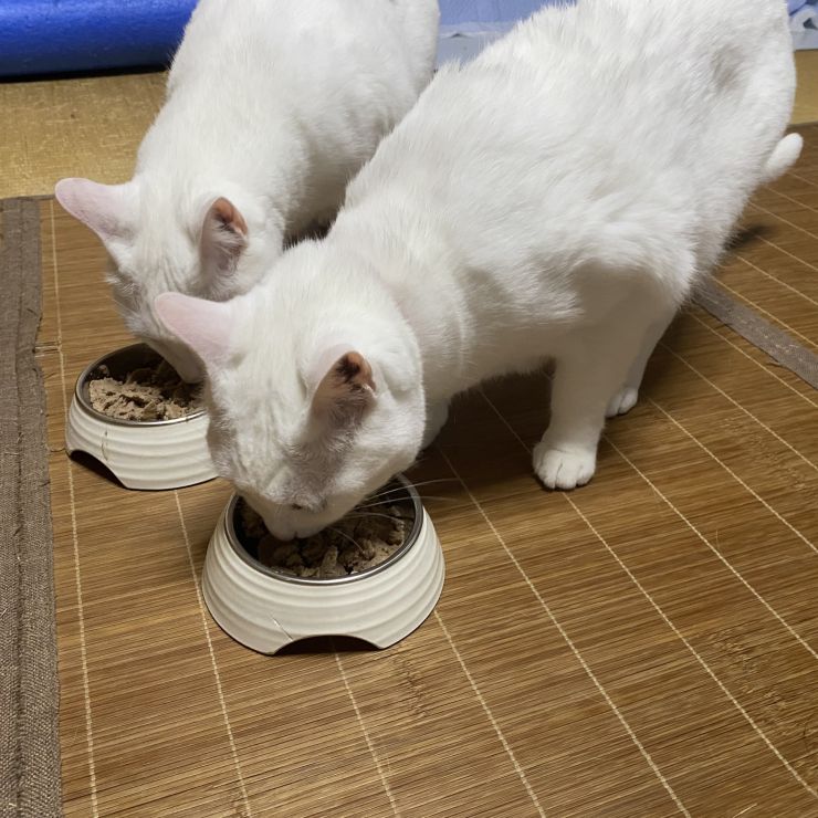 元気もりもり！