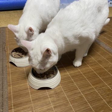 元気もりもり！