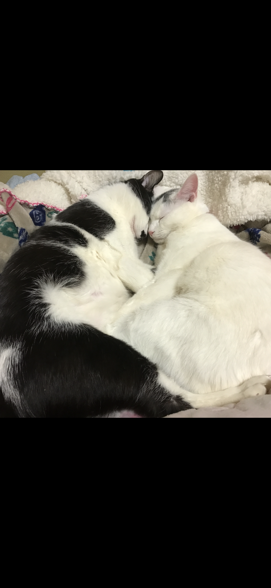 仲良し💕