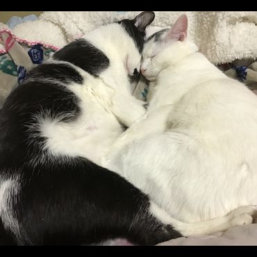 仲良し💕