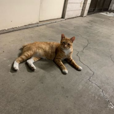 おかえり！待ってたよ