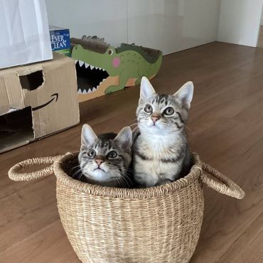 私達、ここが落ち着くの！