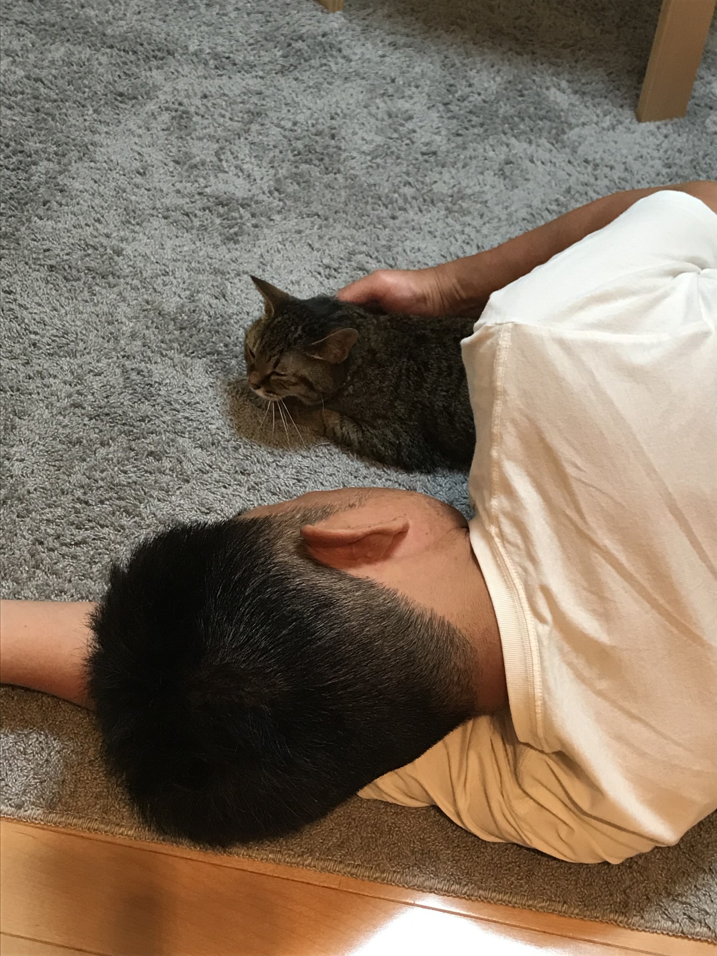 心を許した瞬間