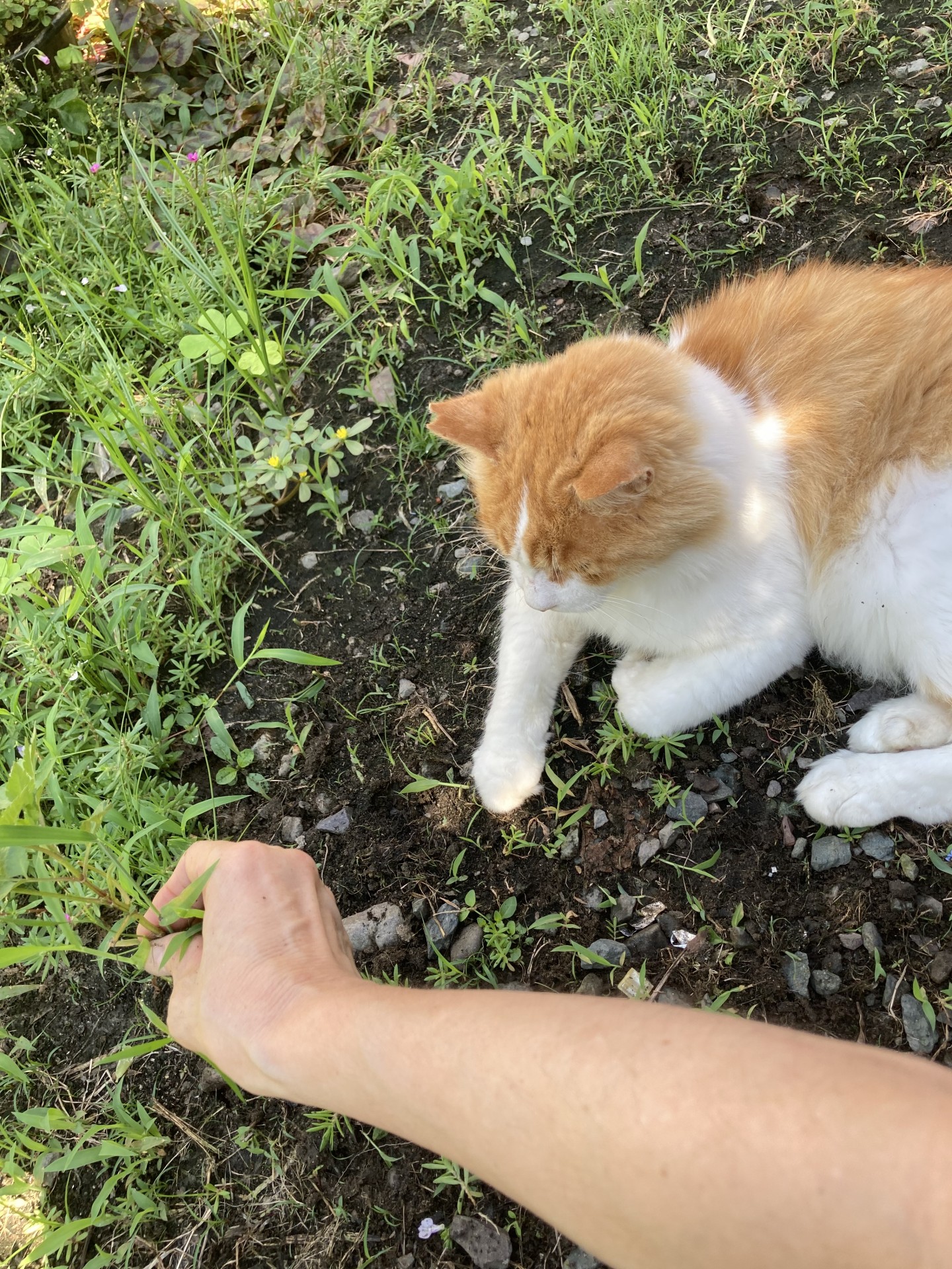 お手伝いしましょうか