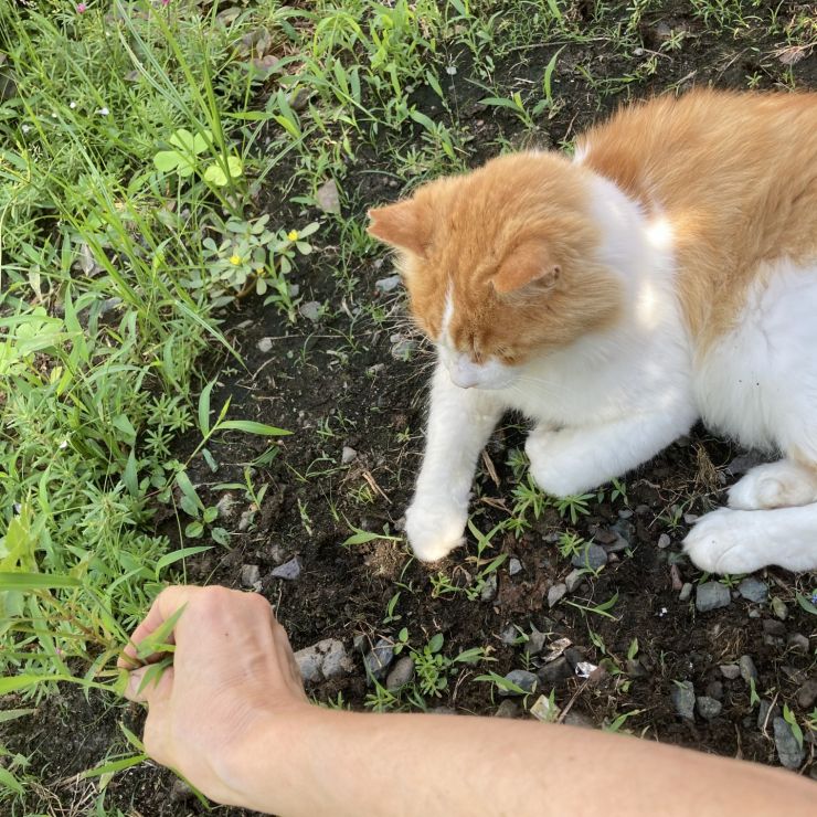お手伝いしましょうか