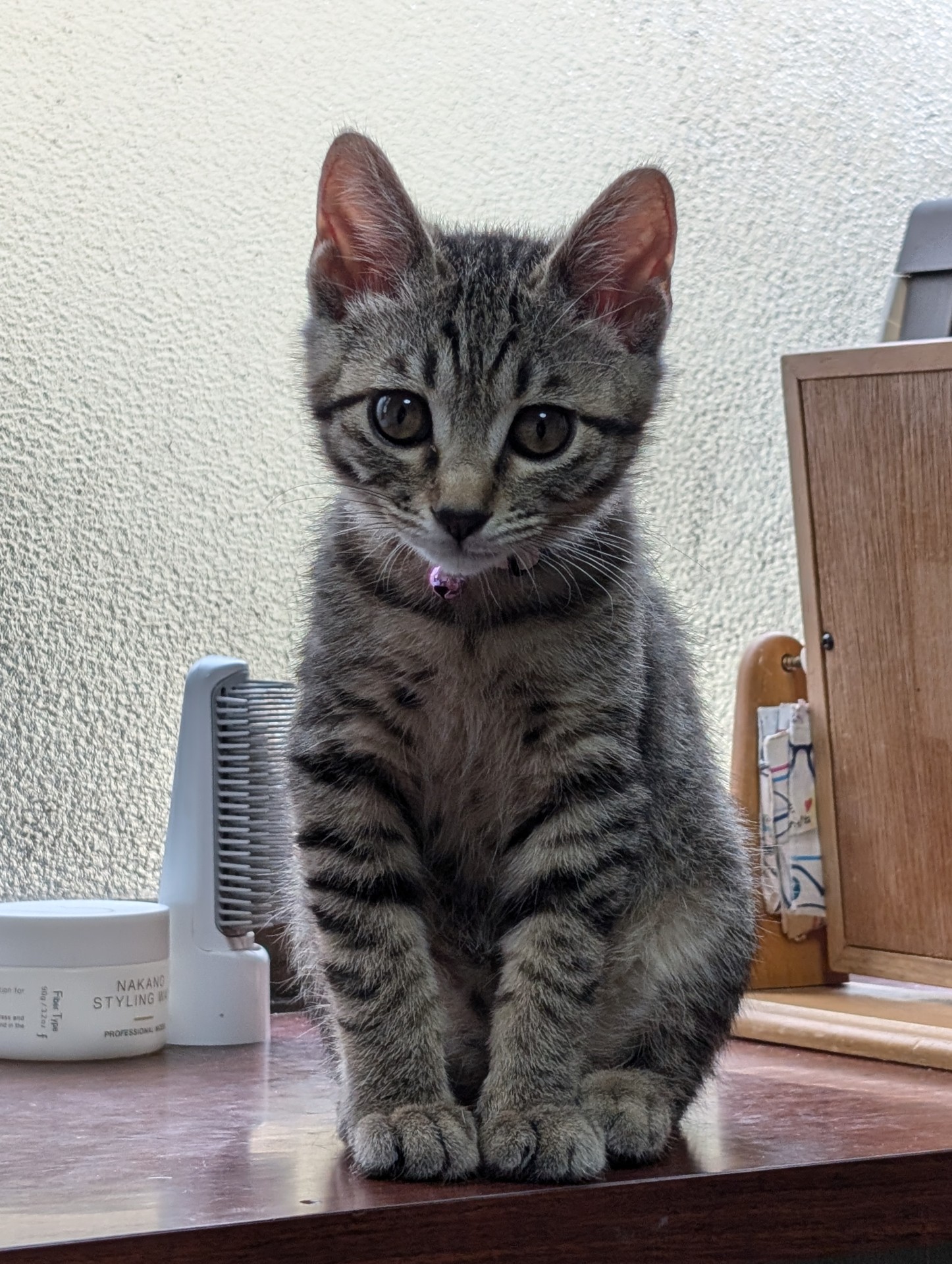 元気いっぱいに成長中