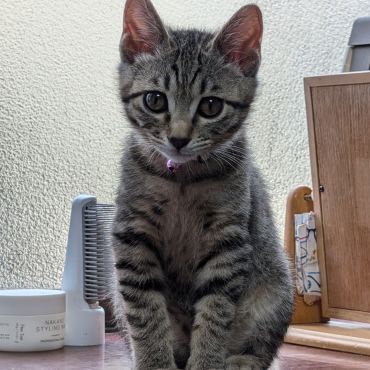 元気いっぱいに成長中