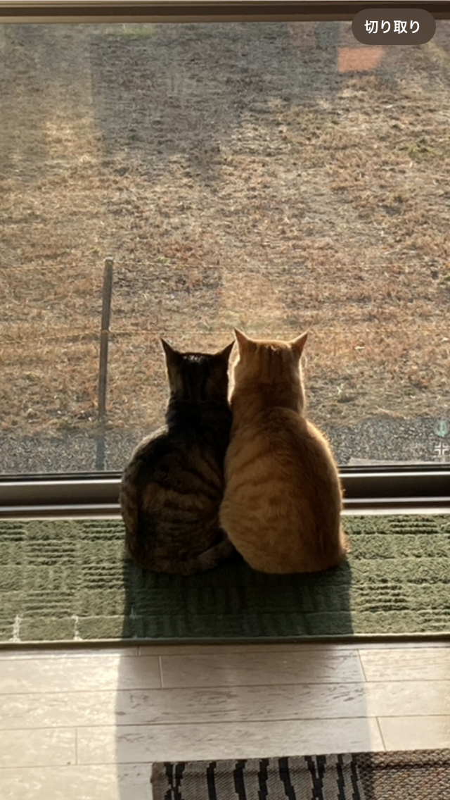 親子で見る風景