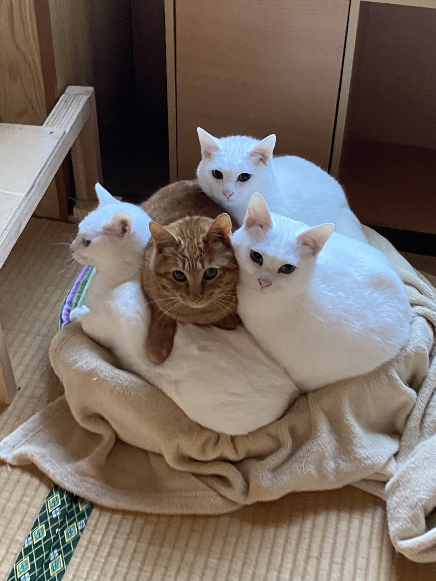 ずっと一緒だよ