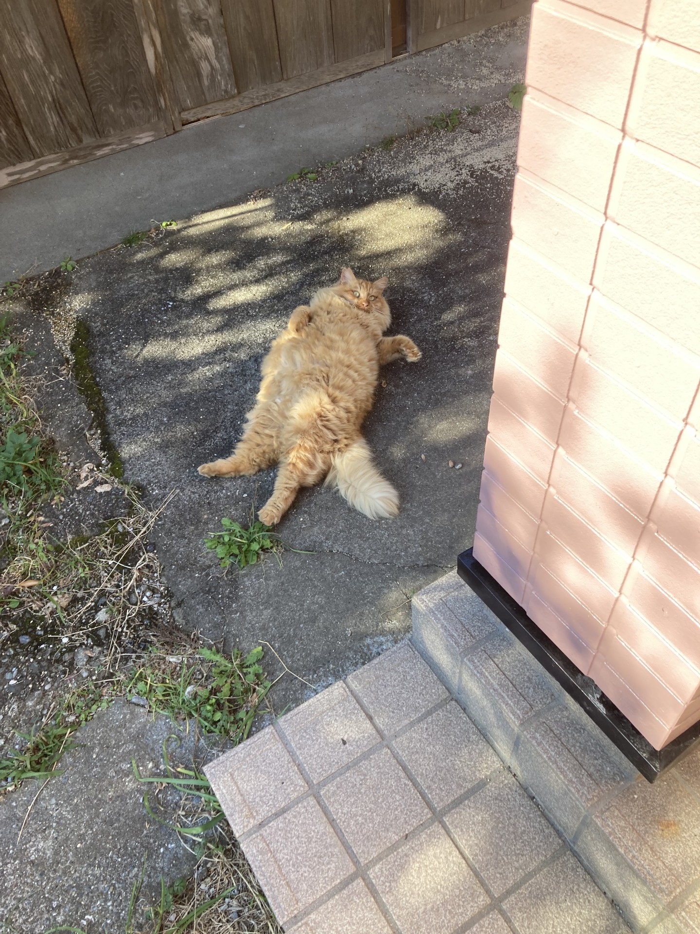 の〜んびり!