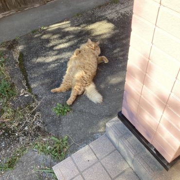 の〜んびり!
