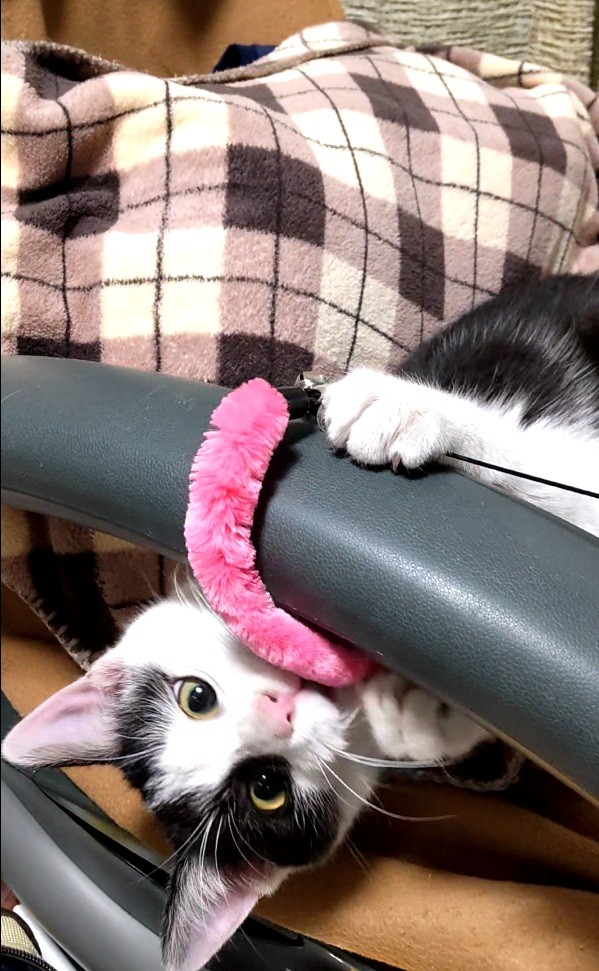 生きててよかったね。　