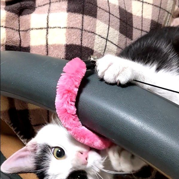 生きててよかったね。　