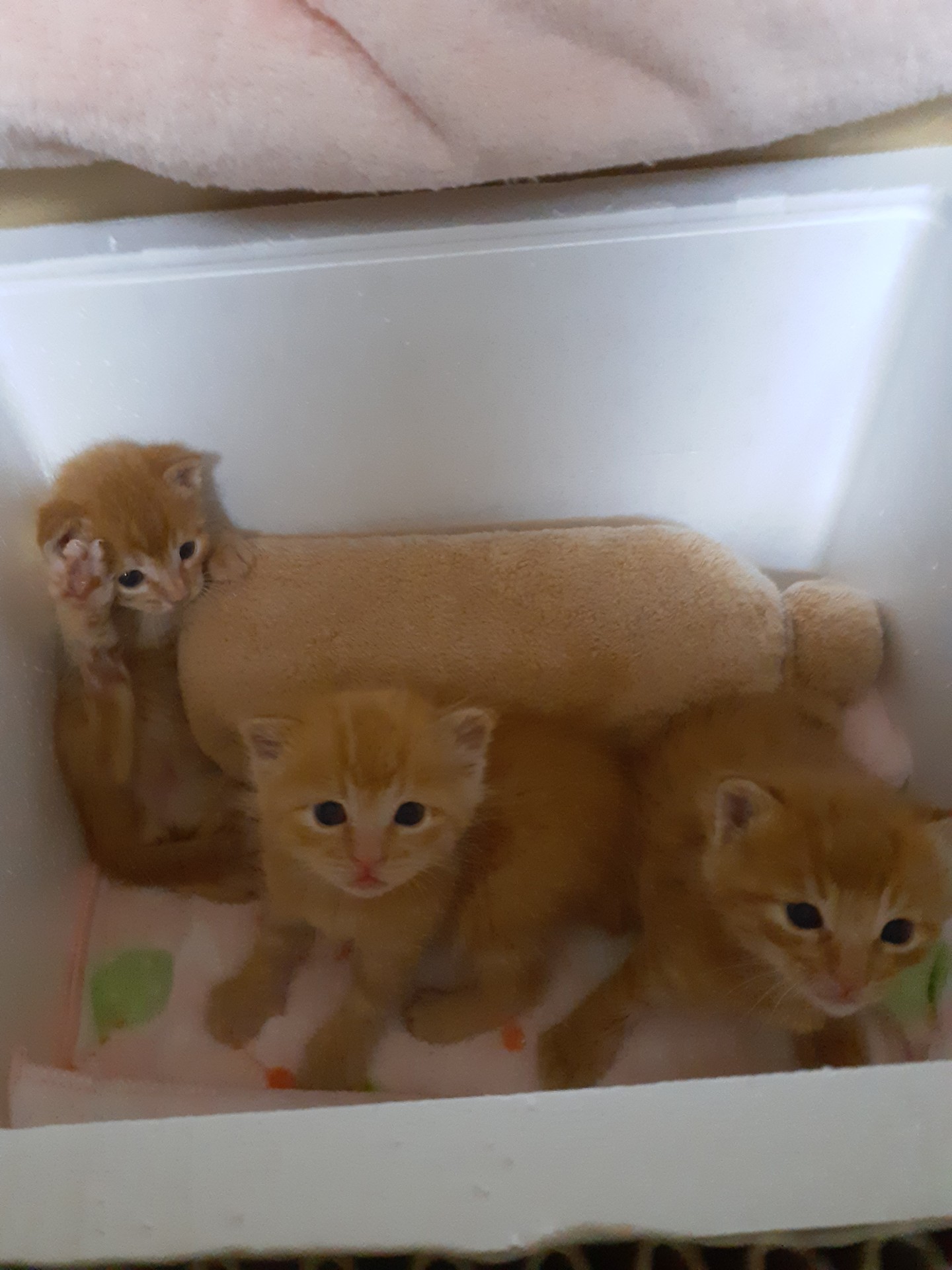ママ！僕たち生きてるよ！！