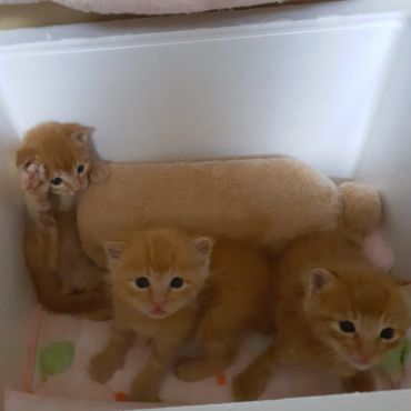 ママ！僕たち生きてるよ！！
