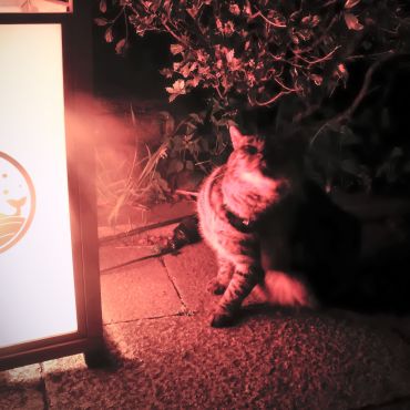 真夏の夜に