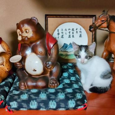 本物は誰だ!