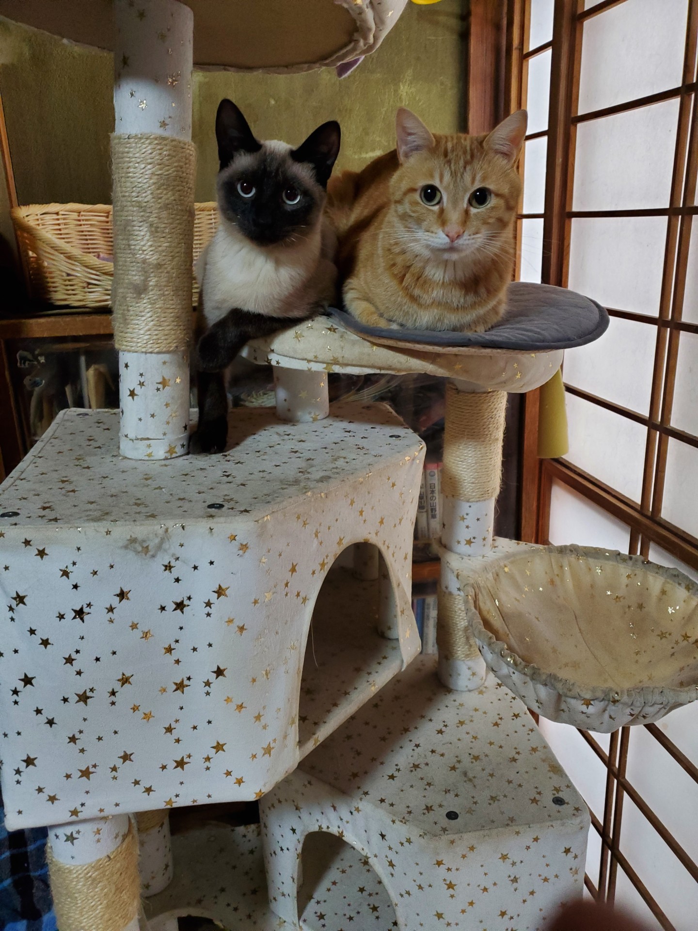 仲良し