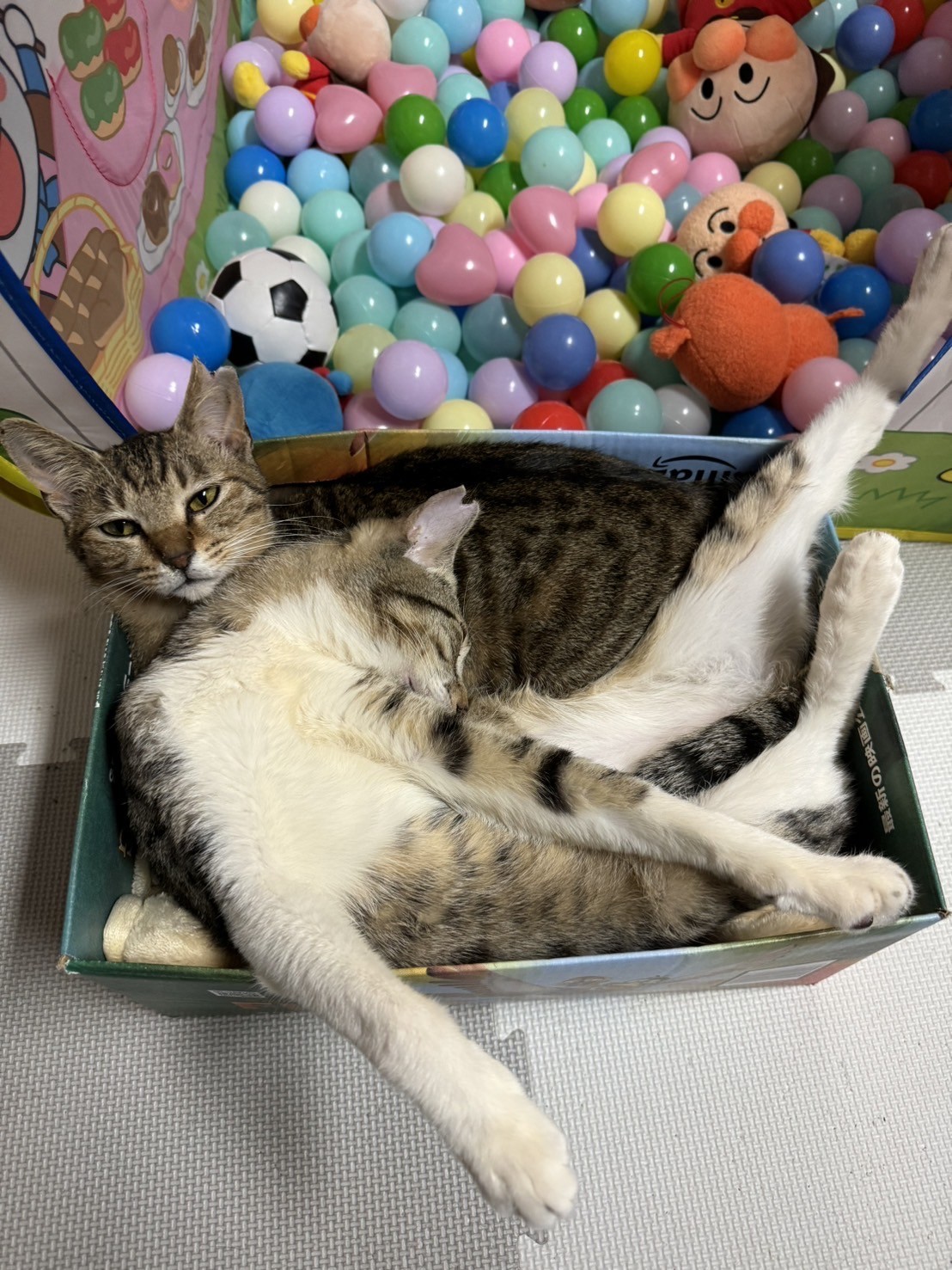 窮屈だけどいいよ