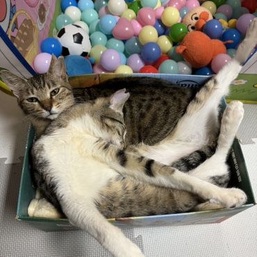 窮屈だけどいいよ