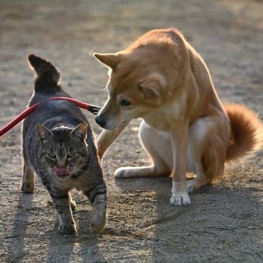 「ねぇねぇ」「何だよ」