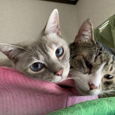 これからは…ずっと一緒(*ˊ˘ˋ*)