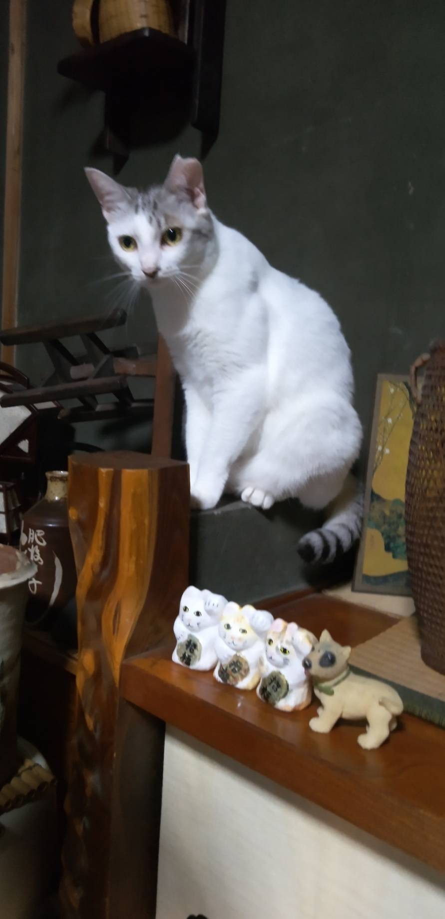 私も招き猫さん