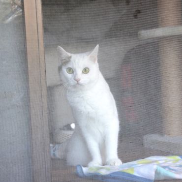 さがしています