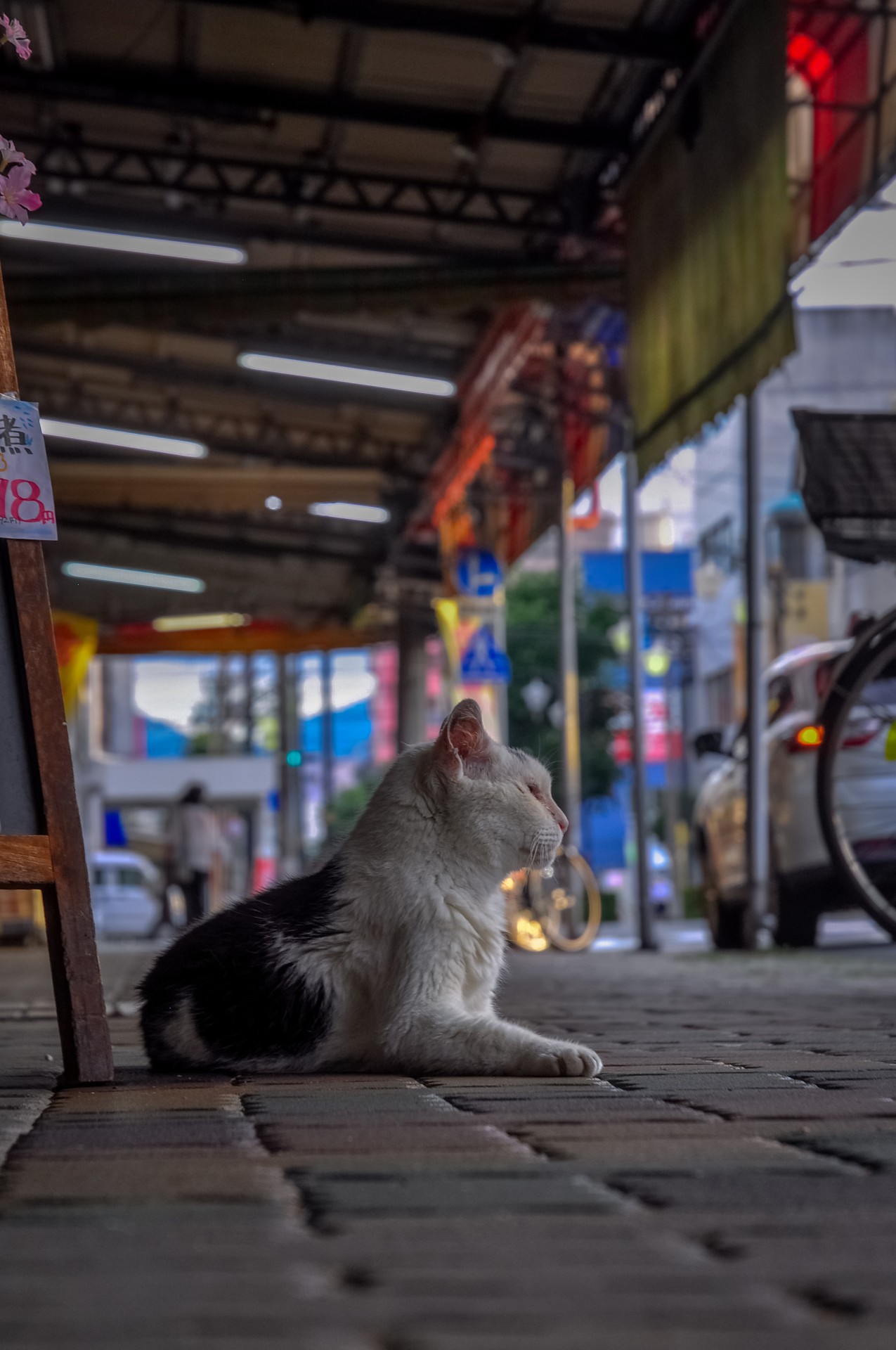 僕の居場所