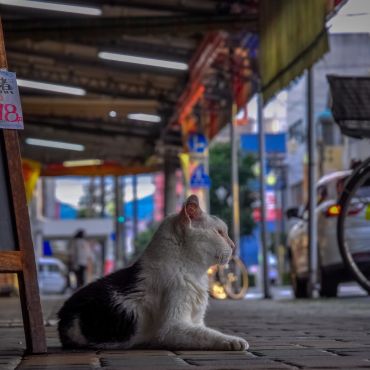 僕の居場所