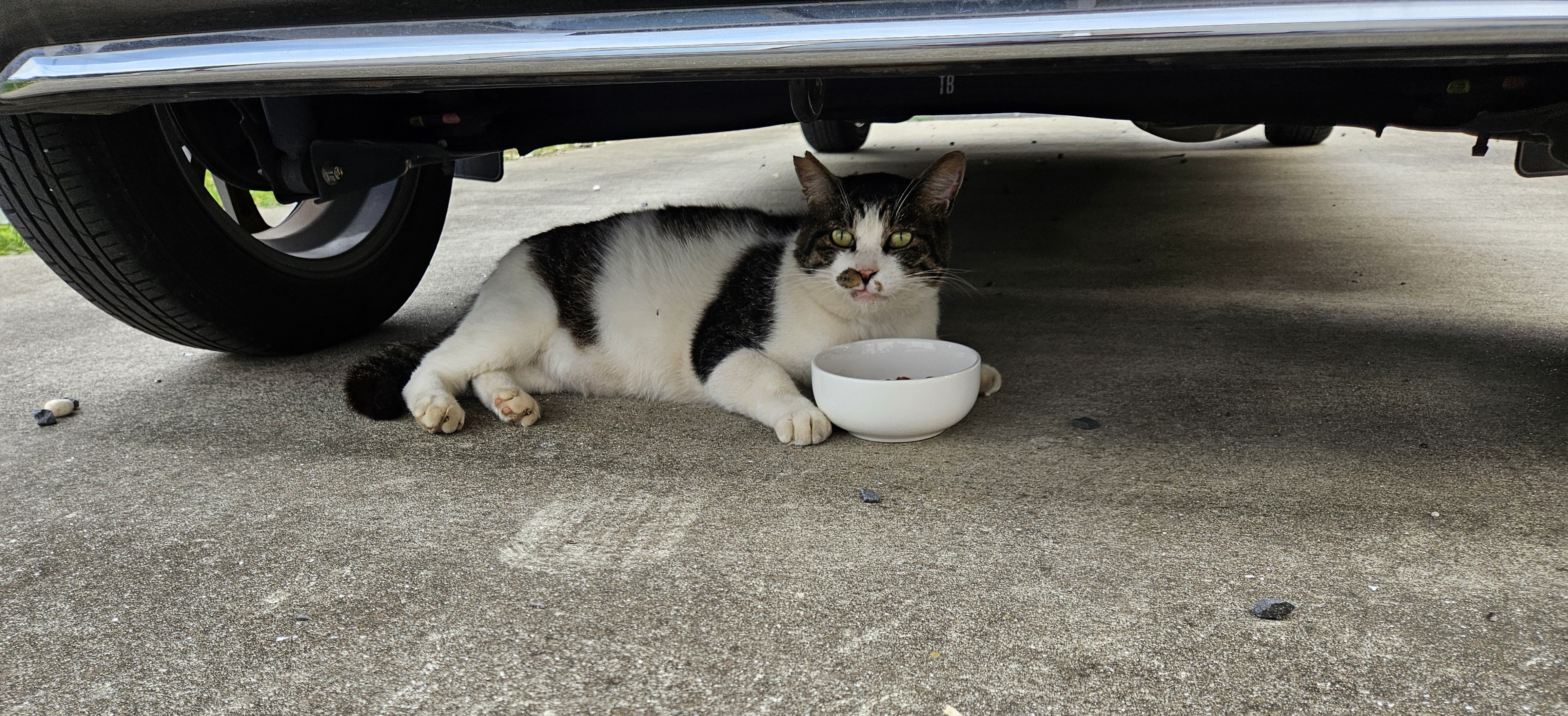 省エネ食事法♡