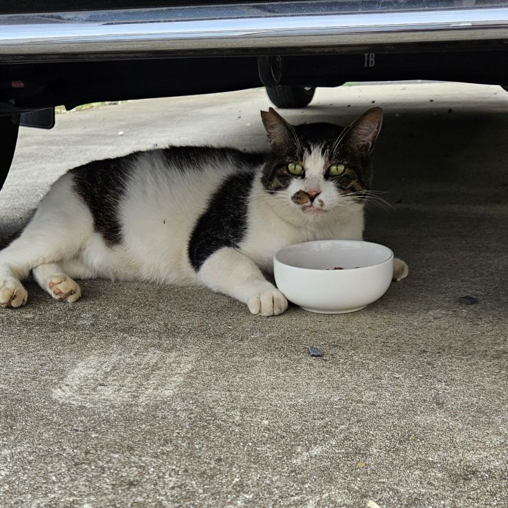 省エネ食事法♡