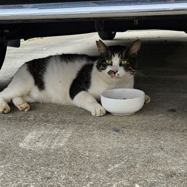 省エネ食事法♡