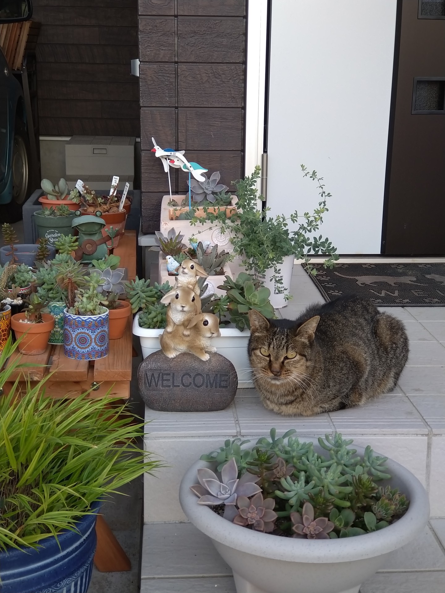 いつまでも