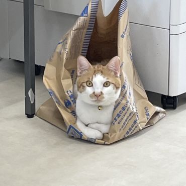 くつろいでます