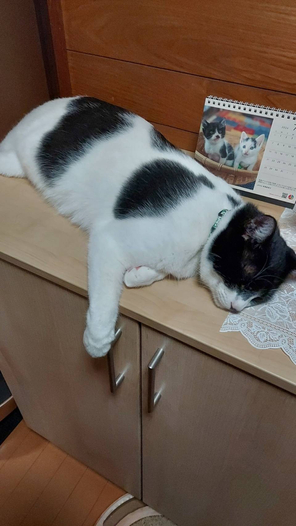 今のボク