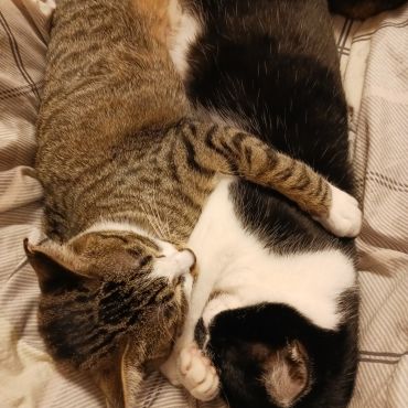 なかよし