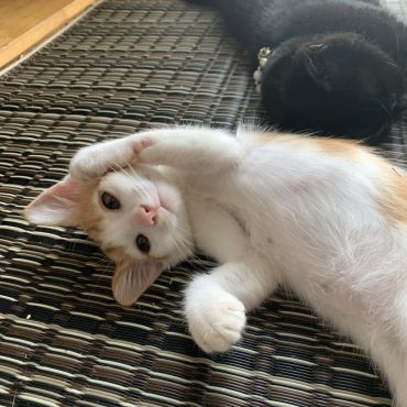 飼ってよねぇ〜