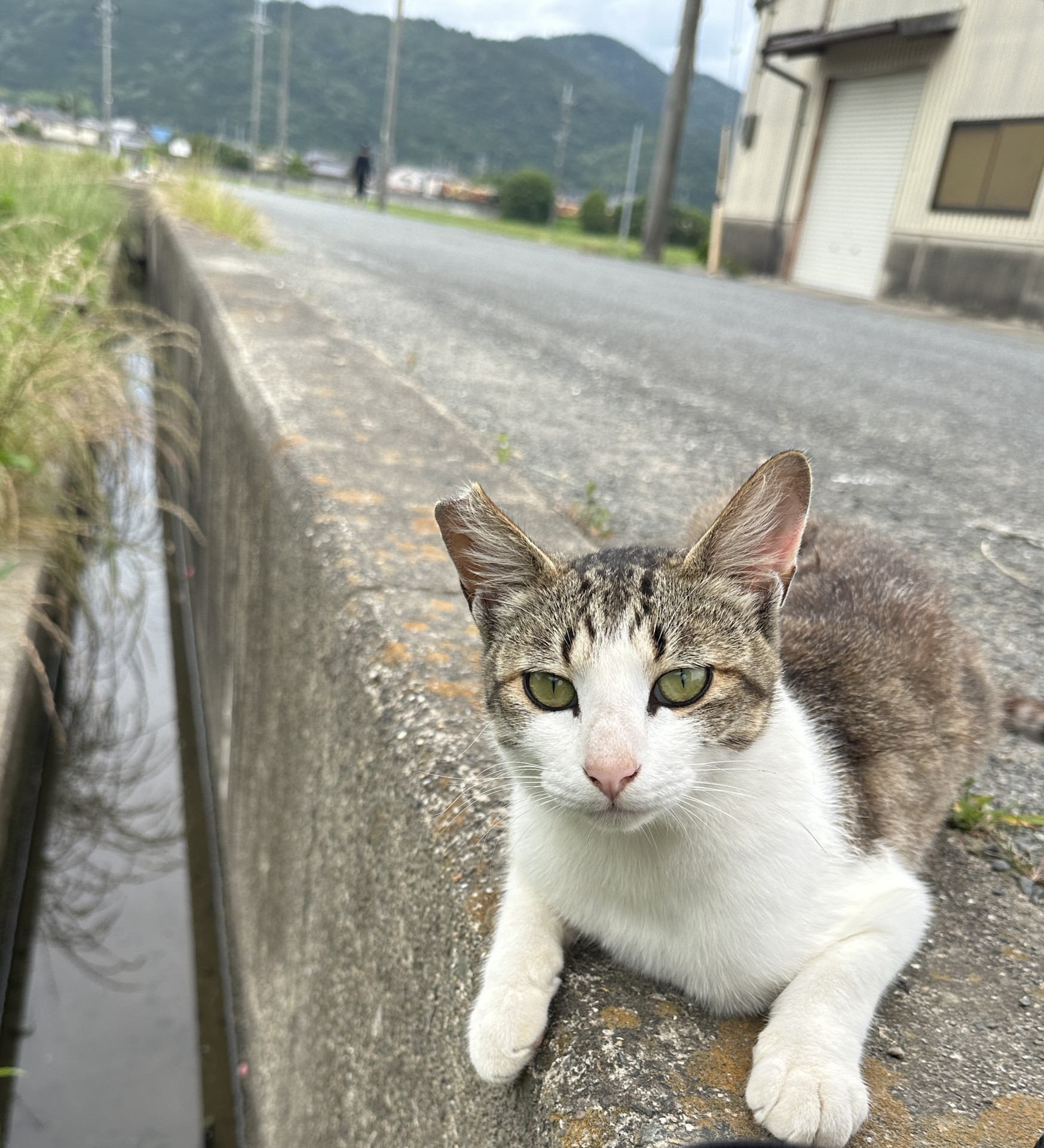いつも来てくれたね