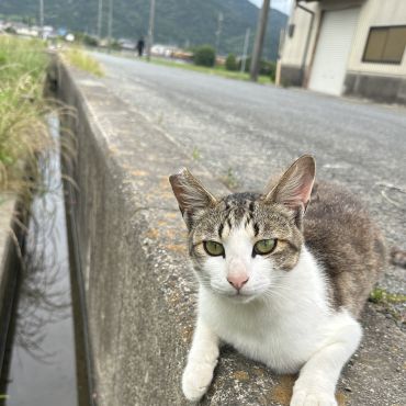 いつも来てくれたね