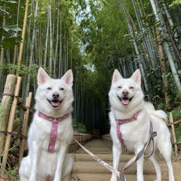 笑顔＆笑顔！