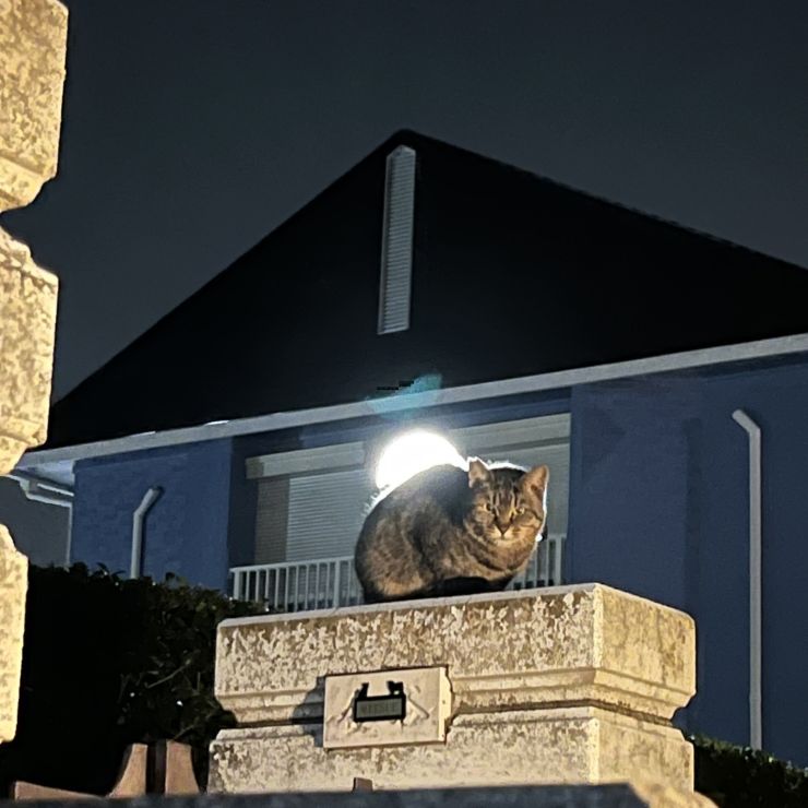 夜に浮かぶ