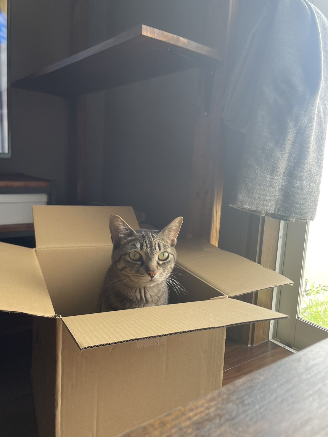 ぼくのおうち